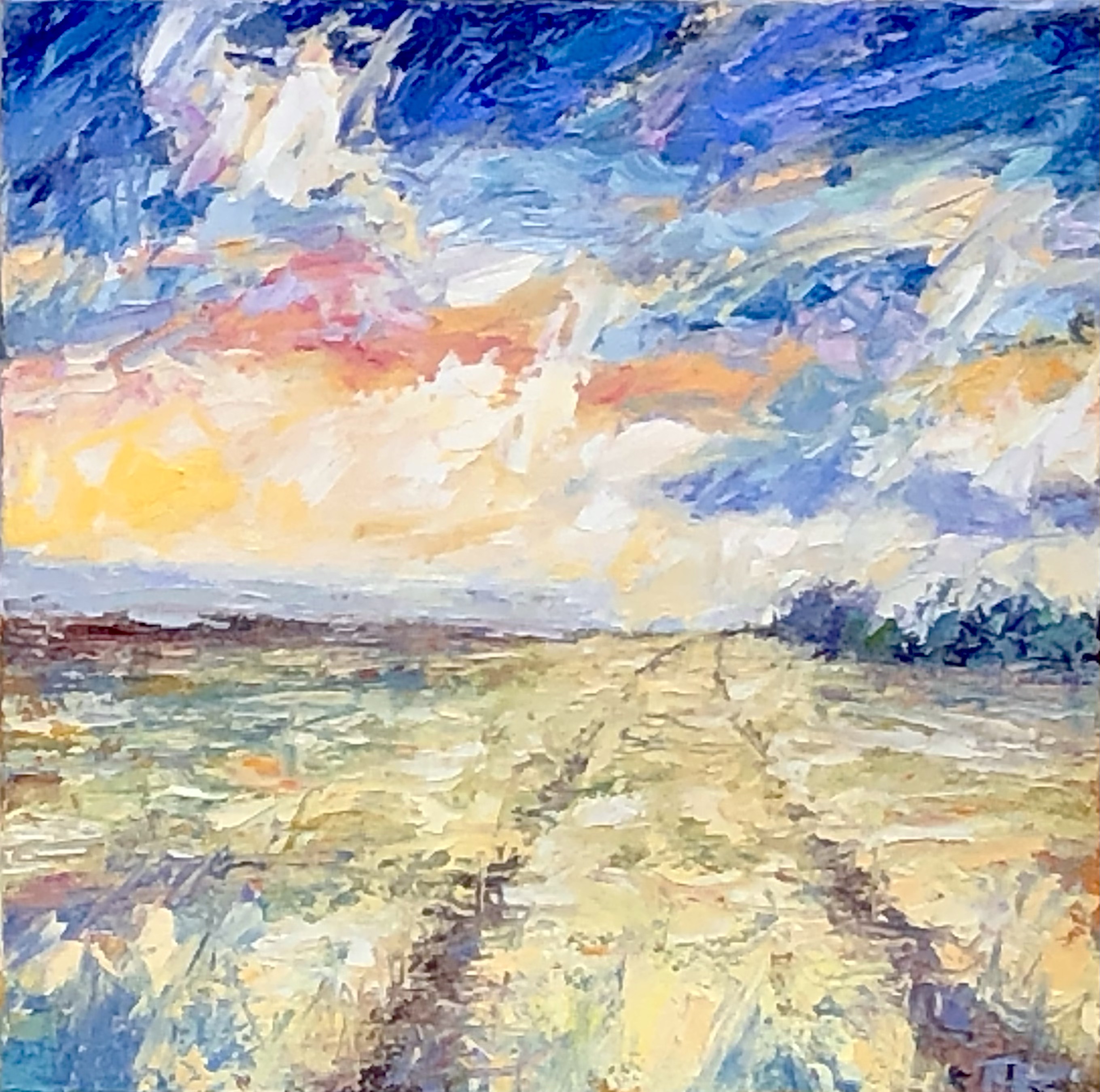 NP11 Tractor Path 10x10