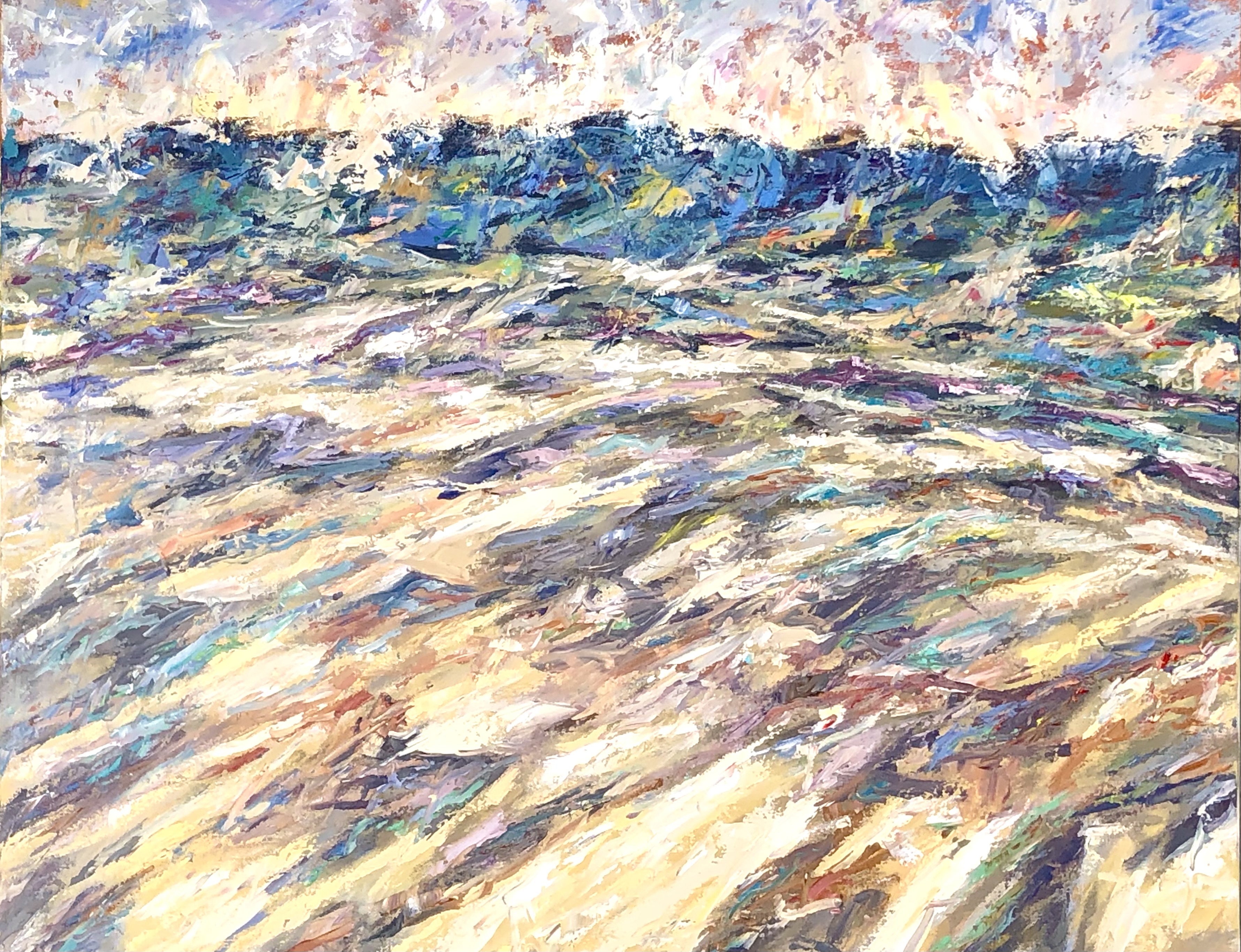 NP12 Dry Riverbed 24x30