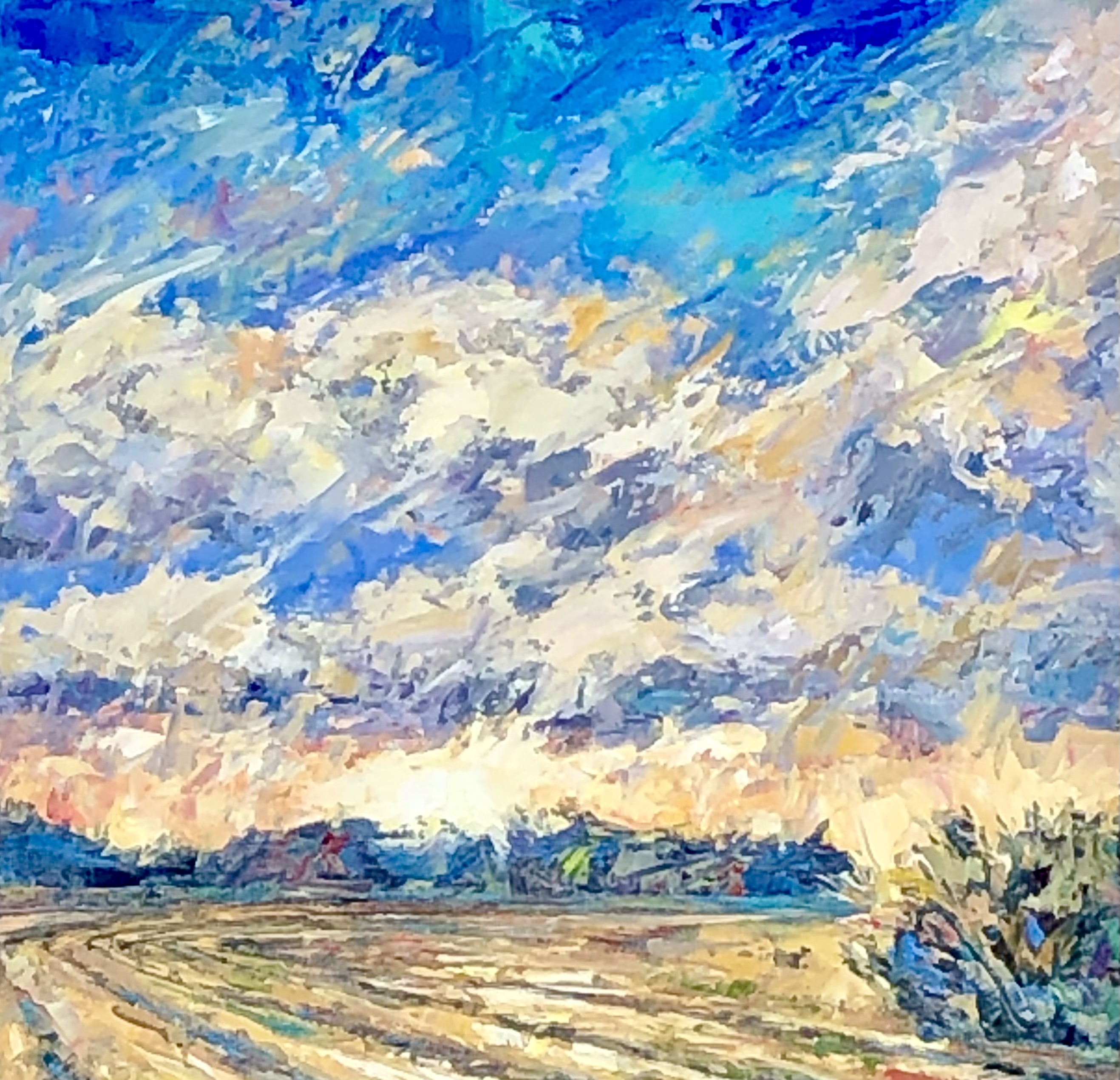 NP13 Plowed Field 12x12